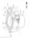 Fig. 20 - Engine