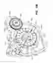Fig. 34 - Engine