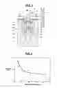 Fig. 03 - VALVE LIFTER FOR INTERNAL COMBUSTION ENGINE