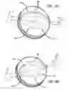 Fig. 10 - Fuel injection spray patterns for opposed-piston engines