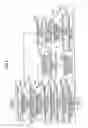 Fig. 06 - Knock control apparatus for internal combustion engine