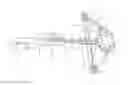 Fig. 01 - Narrow crossbow with large power stroke