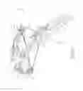 Fig. 05 - Narrow crossbow with large power stroke