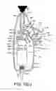 Fig. 15 - NASAL DELIVERY DEVICE