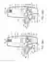 Fig. 17 - NASAL DELIVERY DEVICE