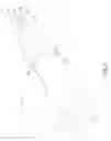 Fig. 03 - Secreting condom
