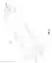 Fig. 04 - Secreting condom