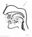 Fig. 02 - Anti-snoring device