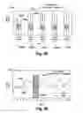 Fig. 43 - Wash Chamber for Surgical Environment