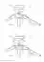 Fig. 09 - Umbrella apparatus