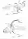 Fig. 13 - Umbrella apparatus