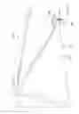 Fig. 16 - Umbrella apparatus