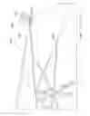 Fig. 17 - Umbrella apparatus
