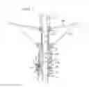 Fig. 06 - Umbrella Having An Improved Locking Mechanism