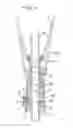 Fig. 07 - Umbrella Having An Improved Locking Mechanism