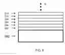 Fig. 09 - DEPOSITION PROCESSES AND PHOTOVOLTAIC DEVICES WITH COMPOSITIONAL GRADIENTS