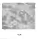 Fig. 06 - PULSED PHOTOTHERMAL PHASE TRANSFORMATION CONTROL FOR TITANIUM OXIDE STRUCTURES AND REVERSIBLE BANDGAP SHIFT FOR SOLAR ABSORPTION