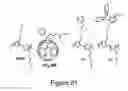 Fig. 20 - Compositions, methods, and systems comprising poly(thiophenes)