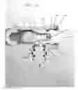 Fig. 15 - Beverage faucet and flow reducer