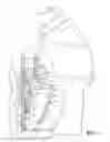 Fig. 06 - Fuel dispensing nozzle hold open clip release assembly