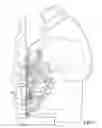Fig. 07 - Fuel dispensing nozzle hold open clip release assembly