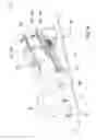 Fig. 05 - Tree harvesters