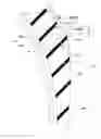 Fig. 01 - Pneumatic tire