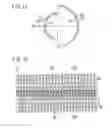 Fig. 10 - TIRE BUILDING DRUM AND DEVICE AND METHOD FOR PRODUCTION OF UNVULCANIZED TIRES