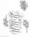 Fig. 06 - Direct forming of non-textile fabric elements from plastic pellets