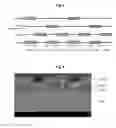 Fig. 06 - Manufacturing method of semiconductor device, and semiconductor device