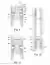 Fig. 06 - Downhole material delivery