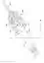 Fig. 07 - VARIABLE AMPLITUDE VIBRATORY APPLIANCE
