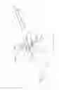 Fig. 13 - VARIABLE AMPLITUDE VIBRATORY APPLIANCE