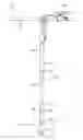 Fig. 01 - HARDPAN AUGER