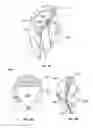 Fig. 14 - Rolling cutter
