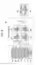 Fig. 06 - ELEVATOR DEVICE