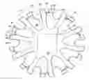 Fig. 01 - Sprocket for easy cleaning