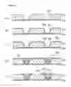 Fig. 08 - Plating apparatus and plating method