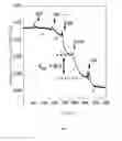 Fig. 06 - Biosensor based on carbon nanotube-electric field effect transistor and method for producing the same