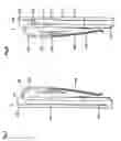Fig. 06 - Cases and covers for electronic handheld devices