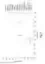 Fig. 06 - Sorting method and apparatus