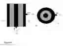Fig. 05 - Fluid distributor unit