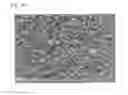 Fig. 04 - Zeolite membrane, separation membrane, and component separation method