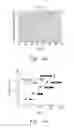 Fig. 06 - Microchip capillary electrophoresis absent electrokinetic injection