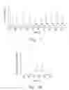 Fig. 09 - Microchip capillary electrophoresis absent electrokinetic injection