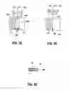 Fig. 05 - Methods for controlling bevel edge etching in a plasma chamber