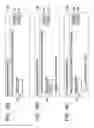Fig. 16 - Analyzer and method of analyzing