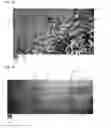 Fig. 04 - Method for generating an image file for forgery verification and a method for forgeryverification of an image file