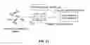 Fig. 16 - Optical system and method for reading encoded microbeads