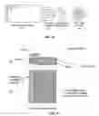 Fig. 25 - Optical system and method for reading encoded microbeads